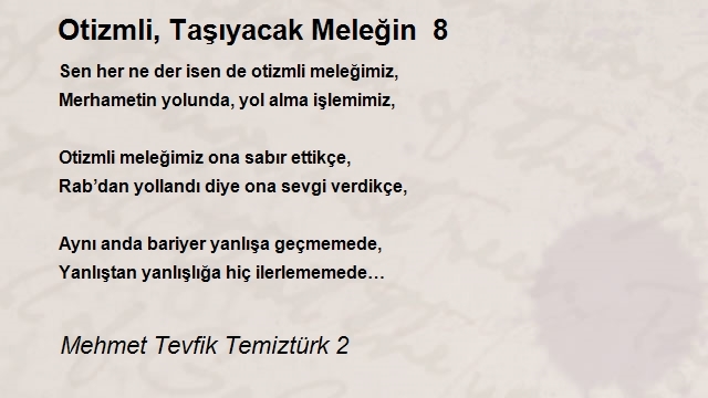 Mehmet Tevfik Temiztürk 2
