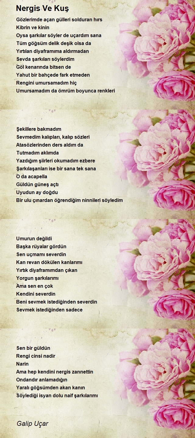 Galip Uçar