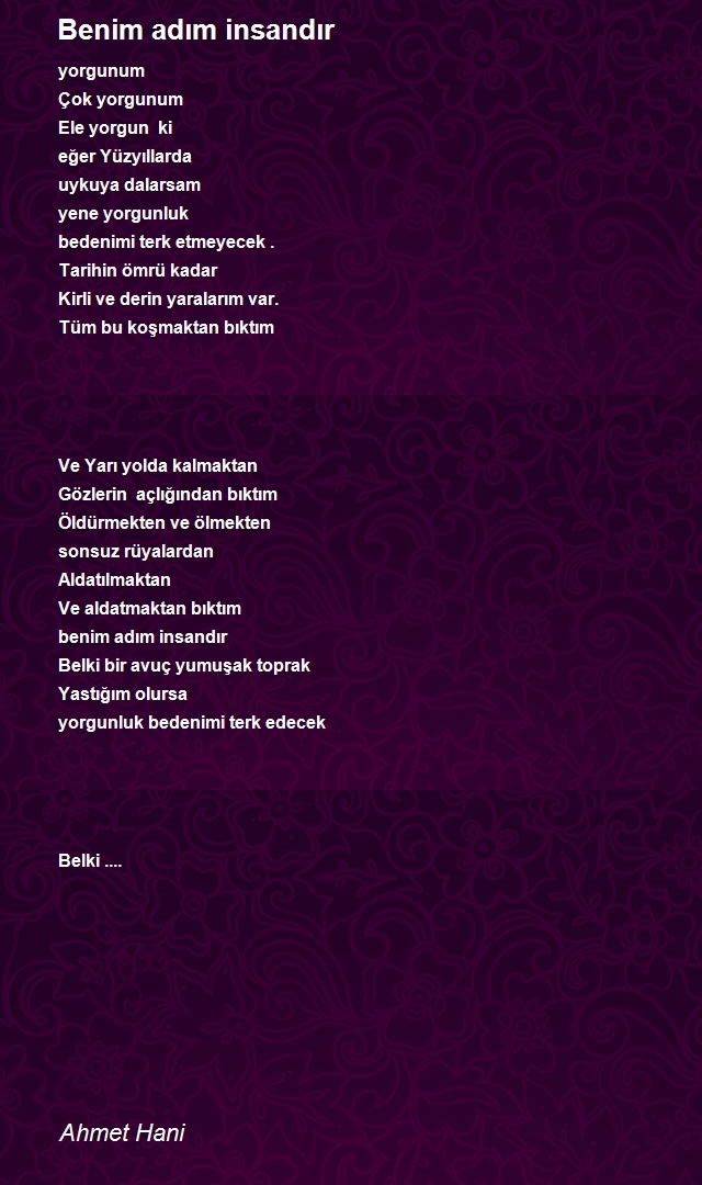 Ahmet Hani