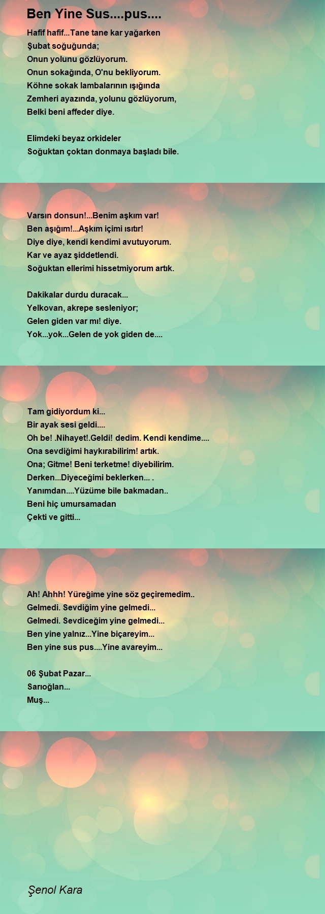 Şenol Kara