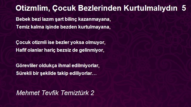 Mehmet Tevfik Temiztürk 2