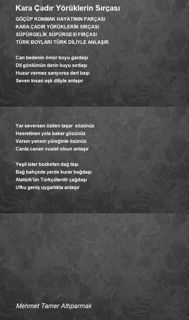 Mehmet Tamer Altıparmak