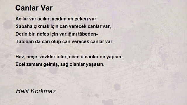 Halit Korkmaz