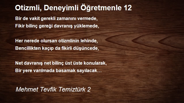 Mehmet Tevfik Temiztürk 2