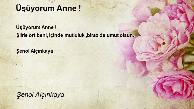 Şenol Alçınkaya