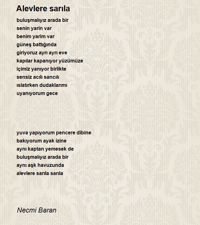 Necmi Baran