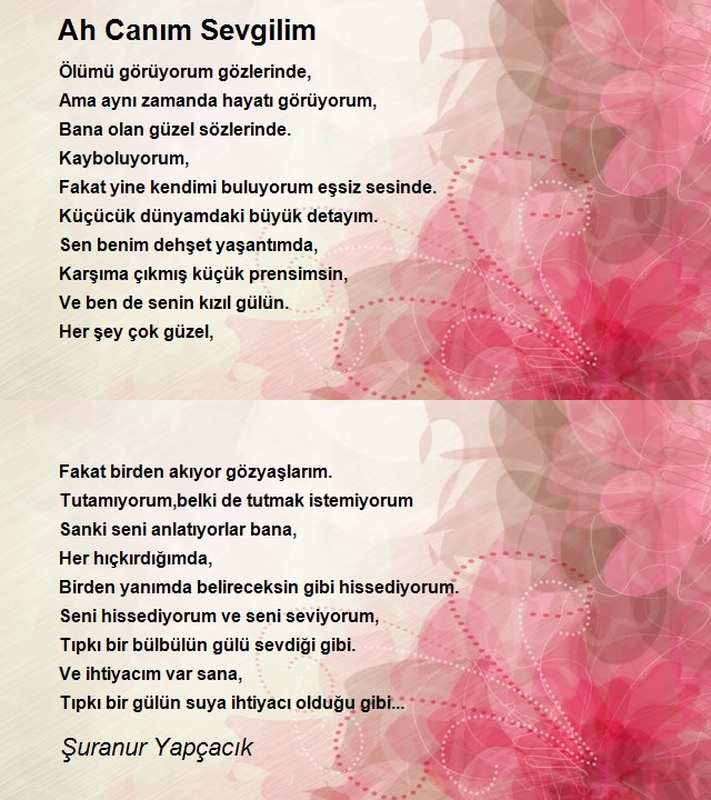 Hüznü Şuara