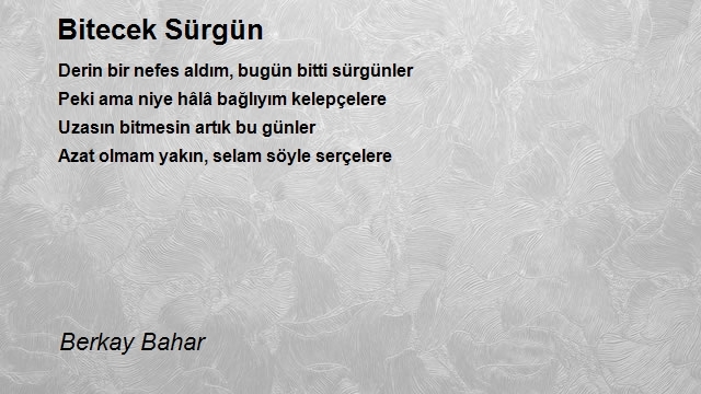 Berkay Bahar