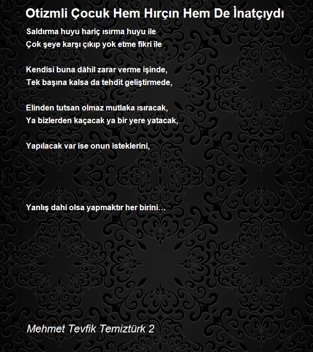 Mehmet Tevfik Temiztürk 2