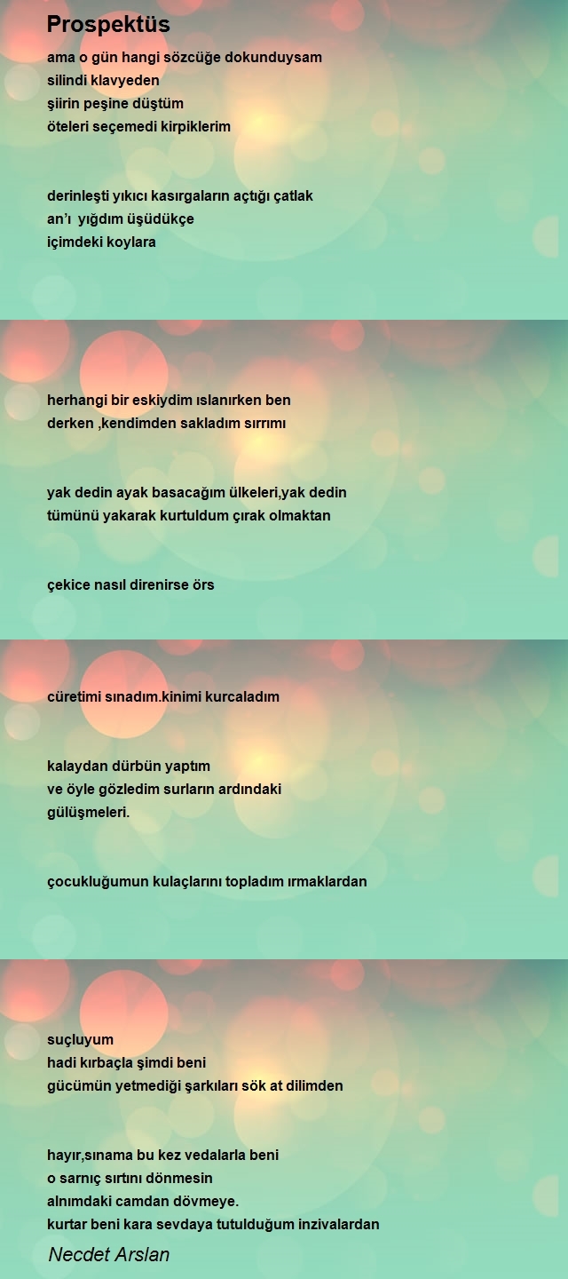 Necdet Arslan