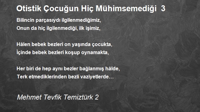 Mehmet Tevfik Temiztürk 2