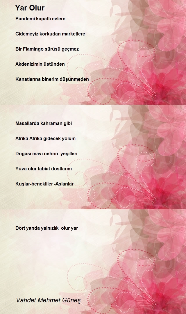 Vahdet Mehmet Güneş