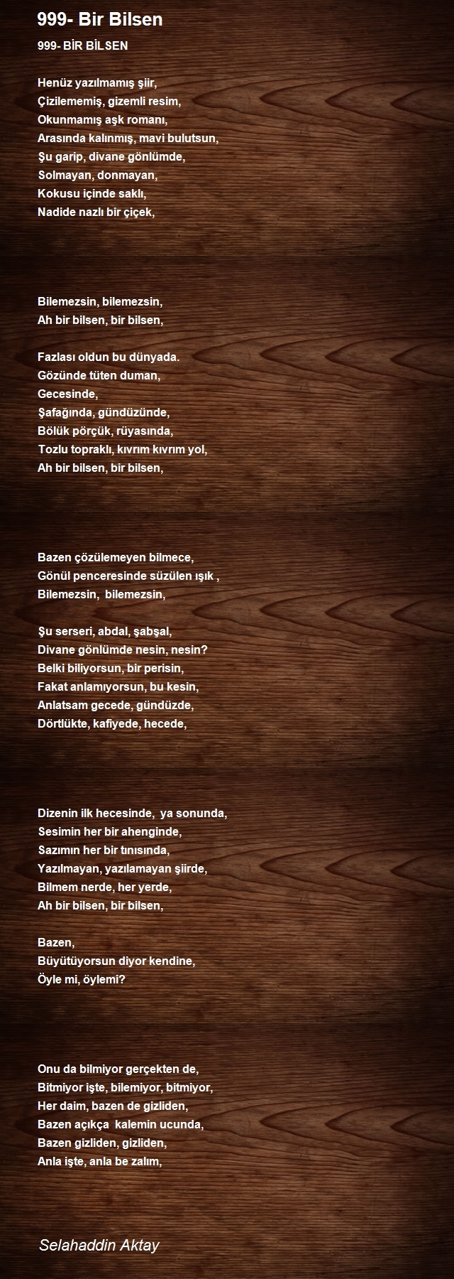 Selahaddin Aktay
