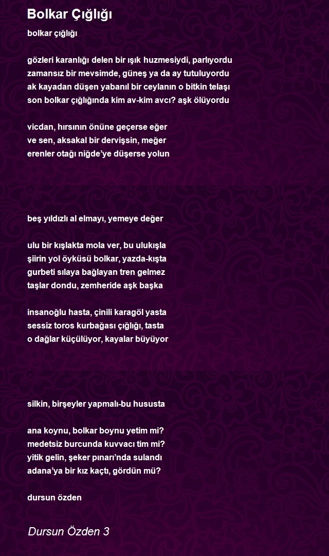 Dursun Özden 3