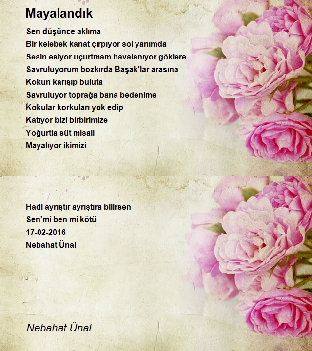 Nebahat Ünal