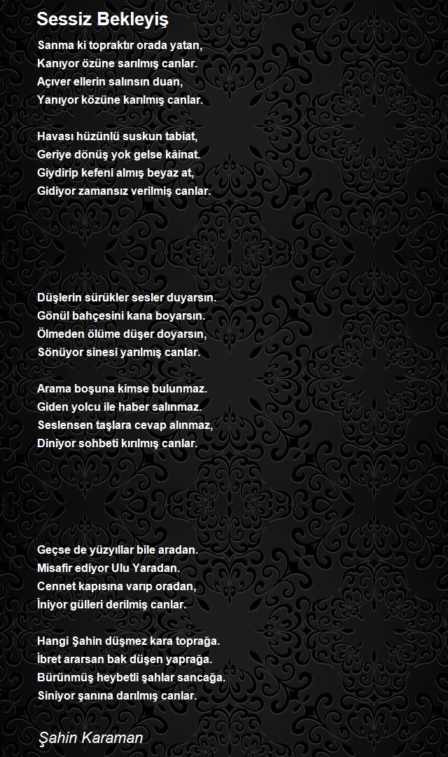 Şair Yazar Şahin Karaman