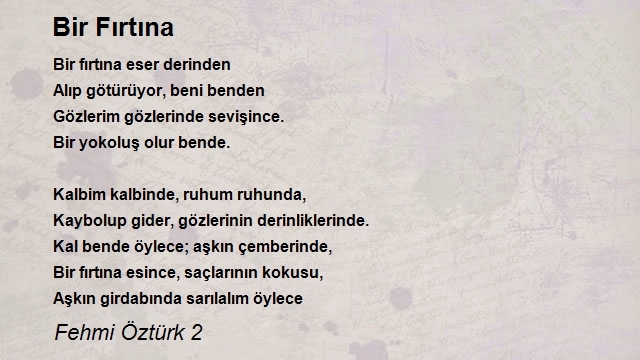 Fehmi Öztürk 2