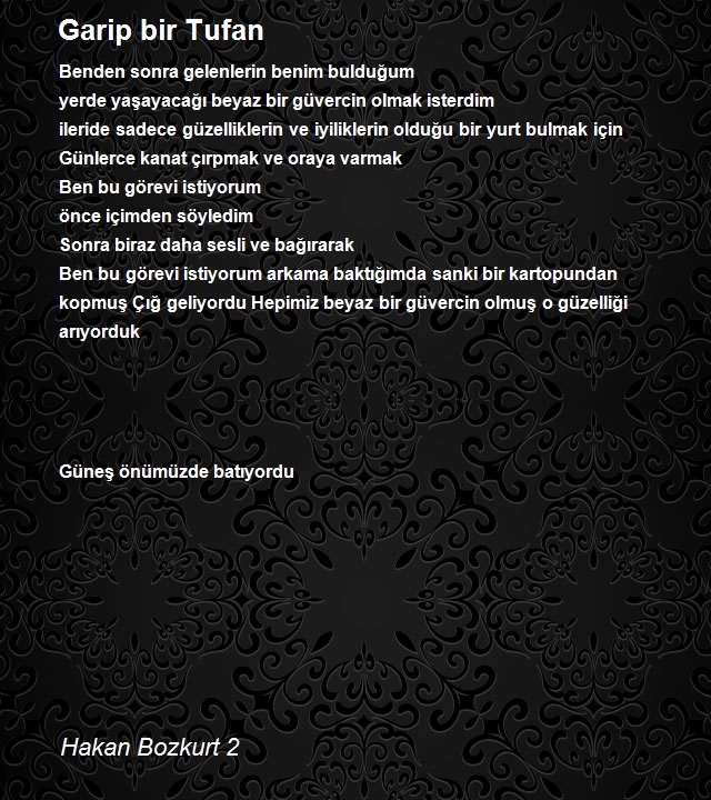 Hakan Bozkurt 2