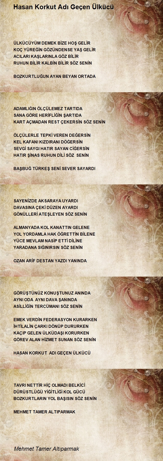 Mehmet Tamer Altıparmak