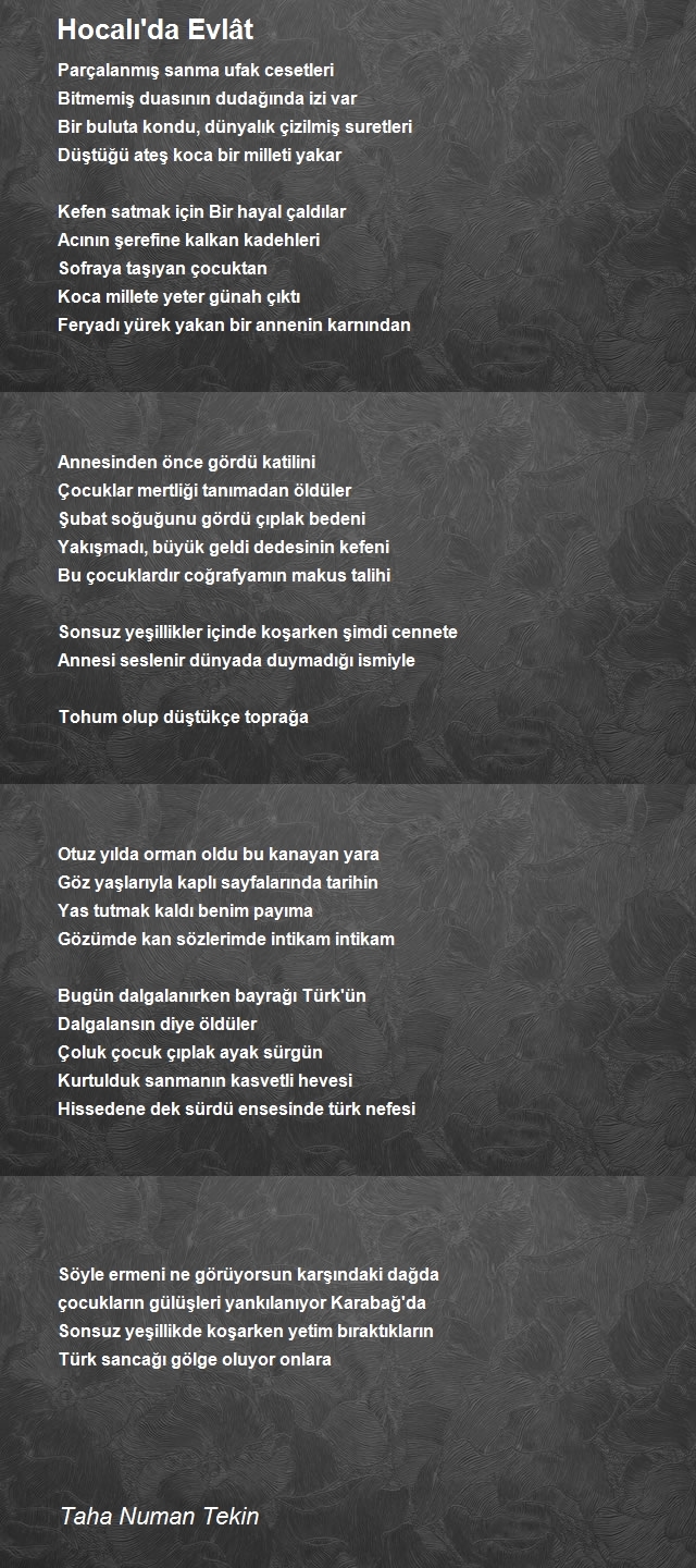 Taha Numan Tekin