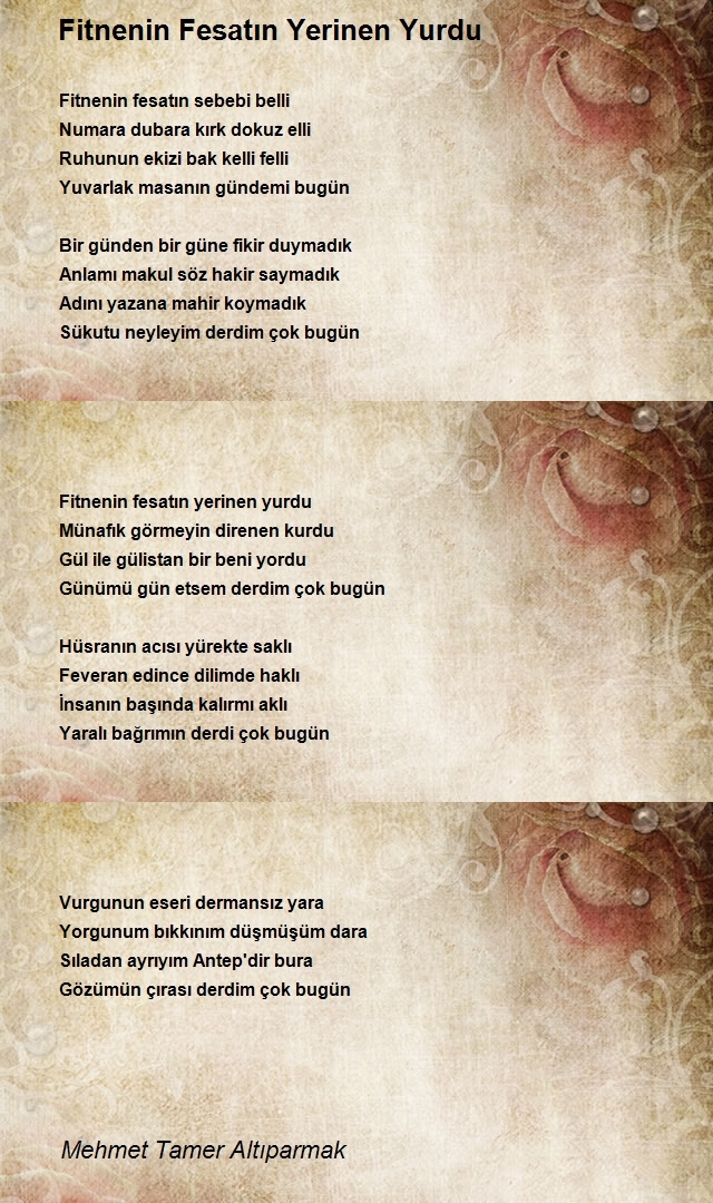Mehmet Tamer Altıparmak