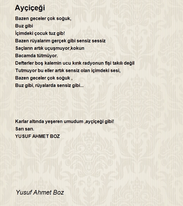 Yusuf Ahmet Boz