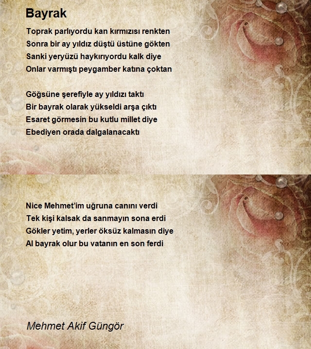 Mehmet Akif Güngör