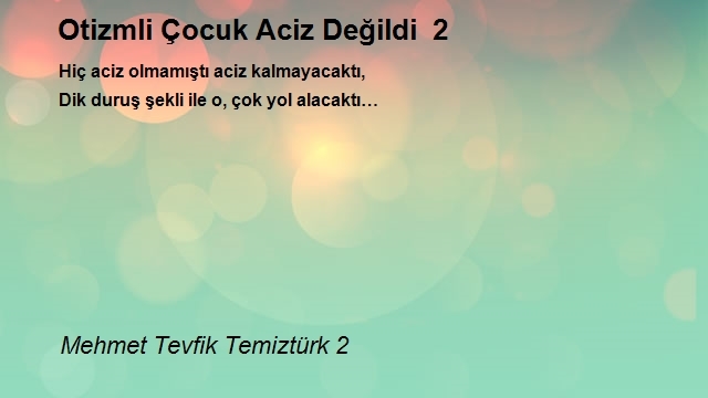 Mehmet Tevfik Temiztürk 2