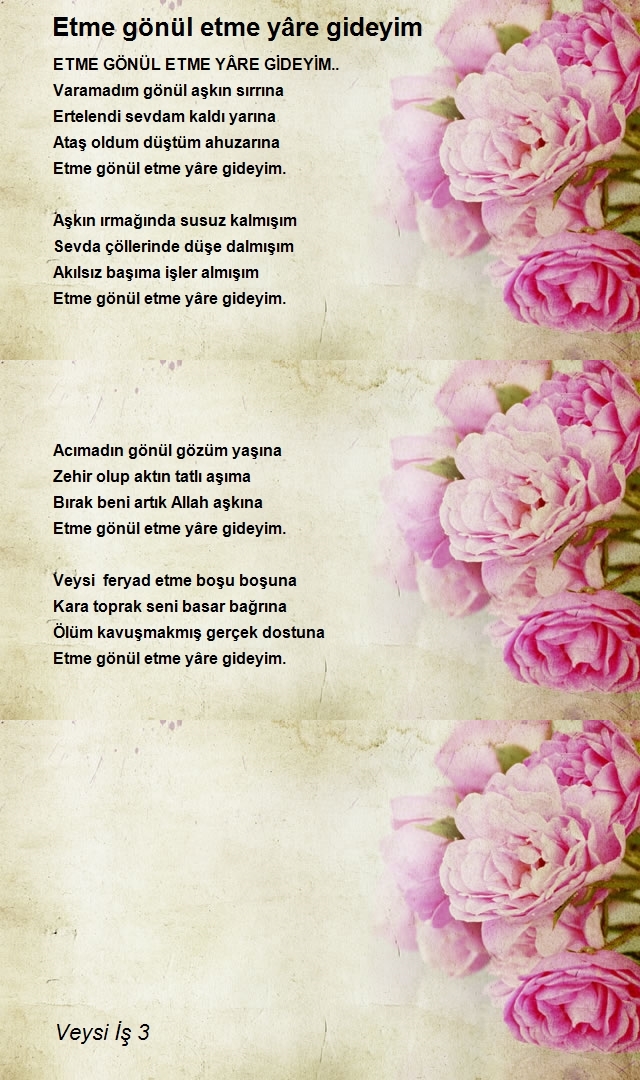 Veysi İş 3