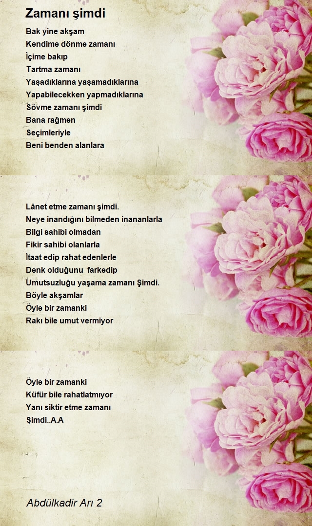 Abdülkadir Arı 2