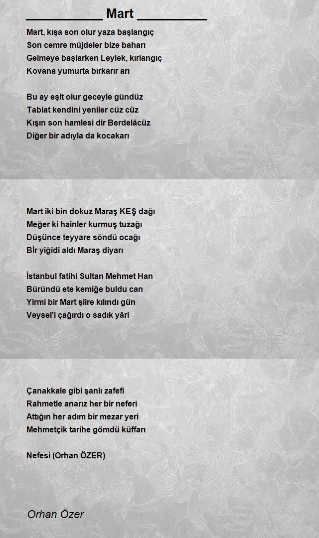 Orhan Özer