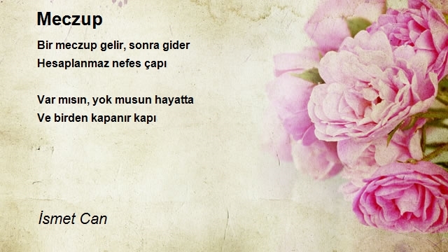 İsmet Can