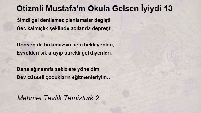 Mehmet Tevfik Temiztürk 2