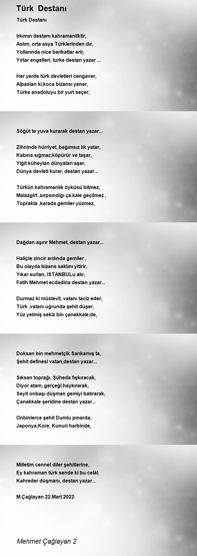 Mehmet Çağlayan 2
