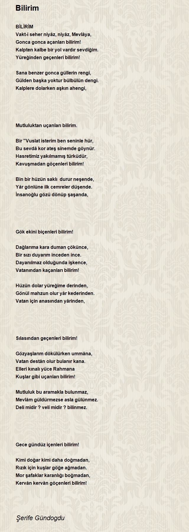 Şerife Gündogdu