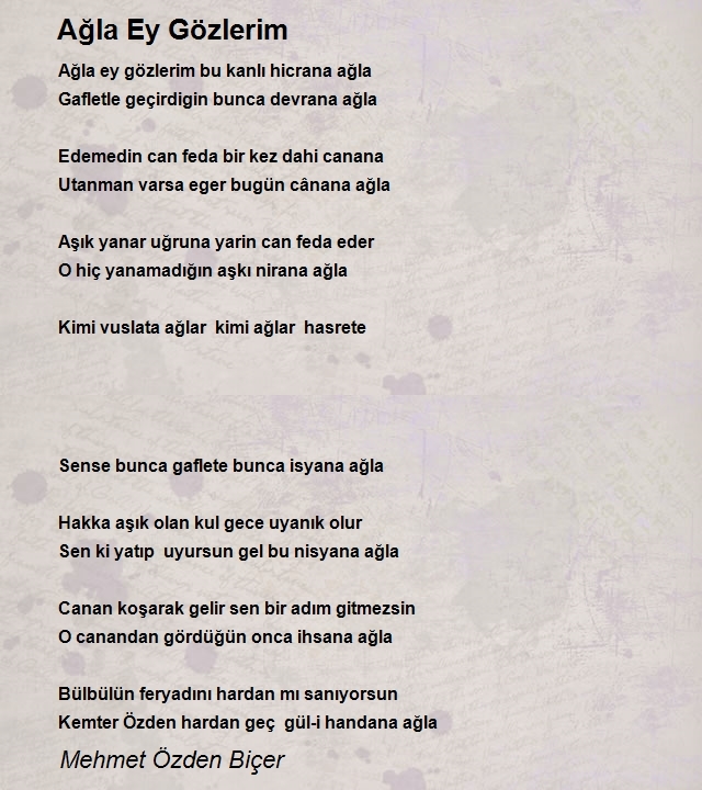 Mehmet Özden Biçer