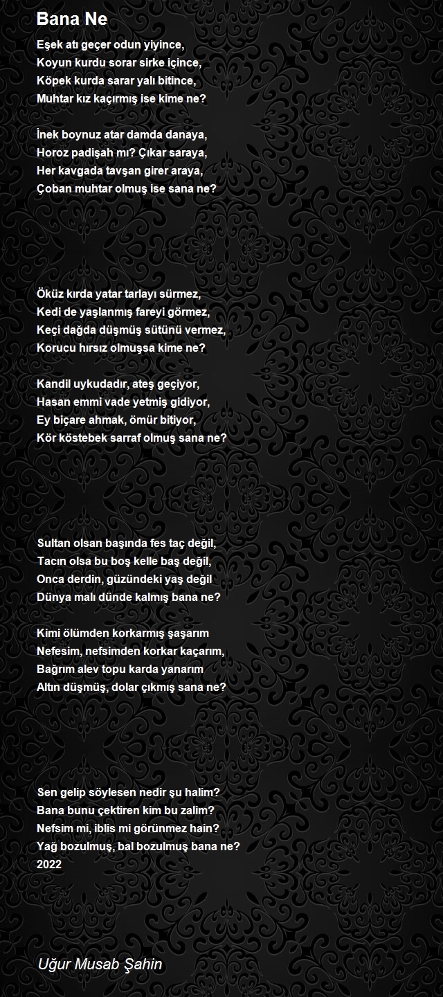 Uğur Musab Şahin