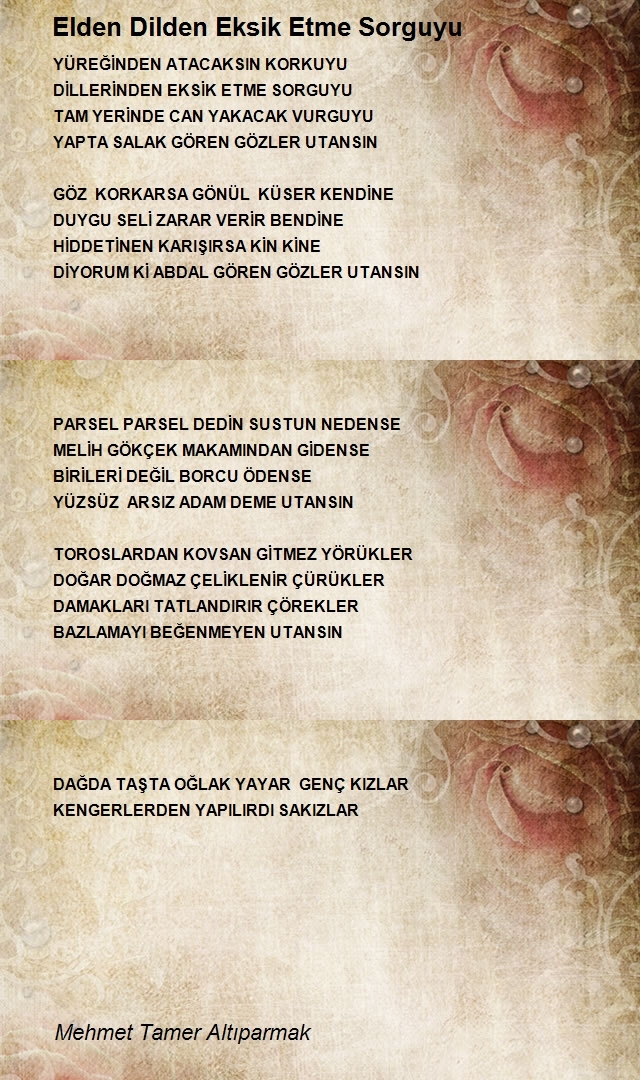 Mehmet Tamer Altıparmak