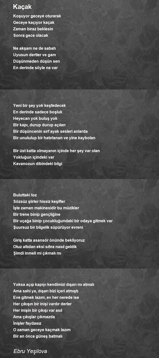Ebru Yeşilova