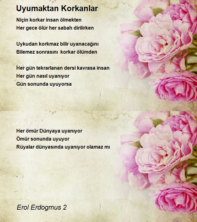 Erol Erdogmus 2