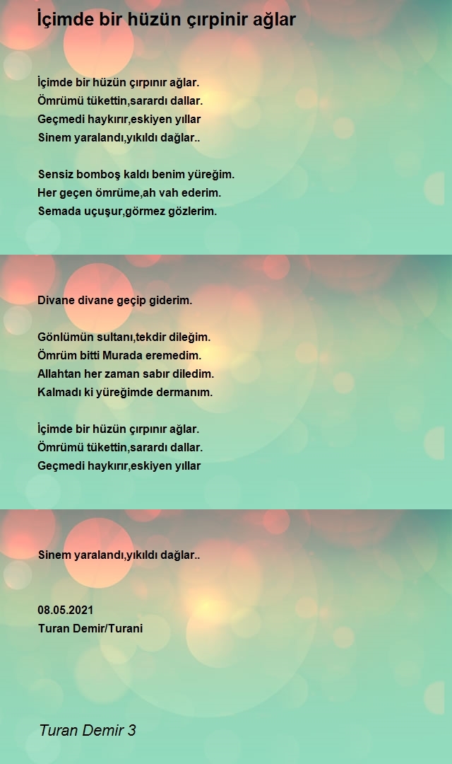 Turan Demir 3