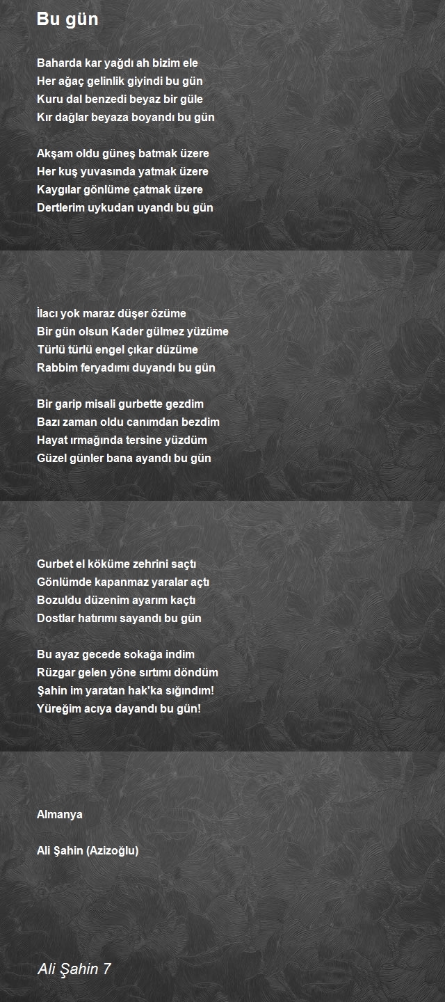 Ali Şahin 7
