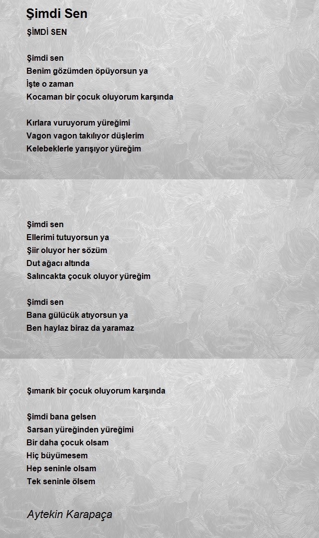 Aytekin Karapaça