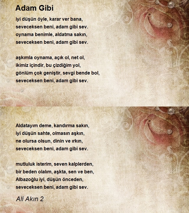 Ali Akın 2