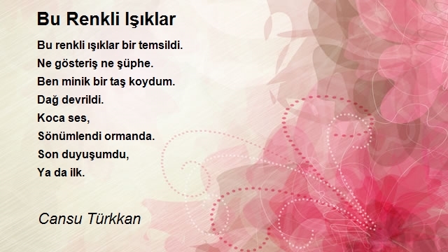 Cansu Türkkan