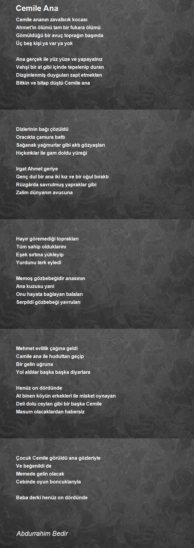 Abdurrahim Bedir