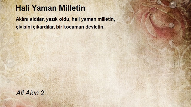 Ali Akın 2