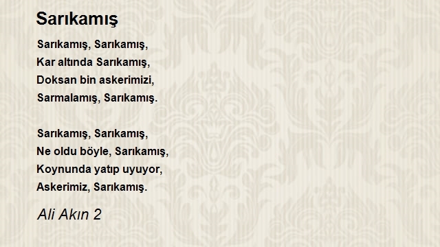Ali Akın 2
