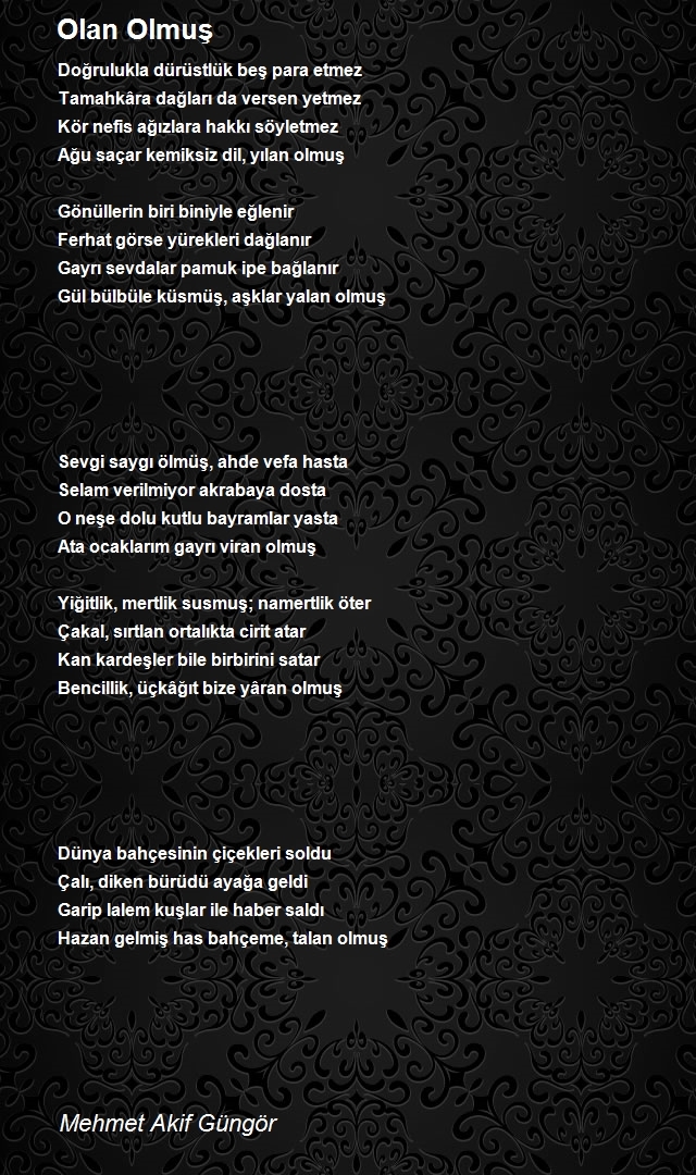 Mehmet Akif Güngör