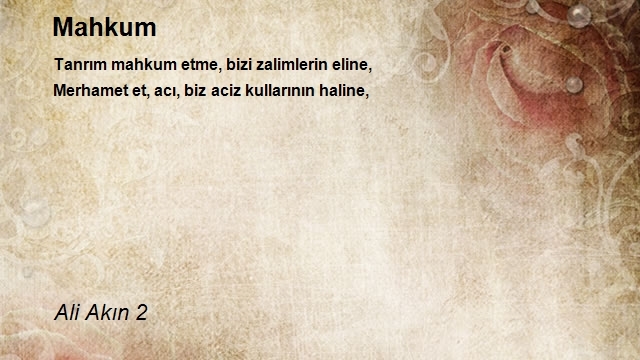 Ali Akın 2